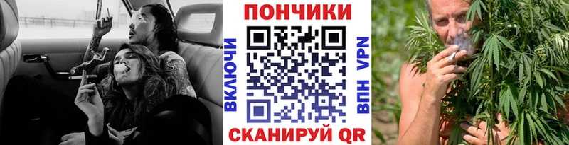 как найти   Ливны  дарк нет Telegram  Бошки марихуана планчик 
